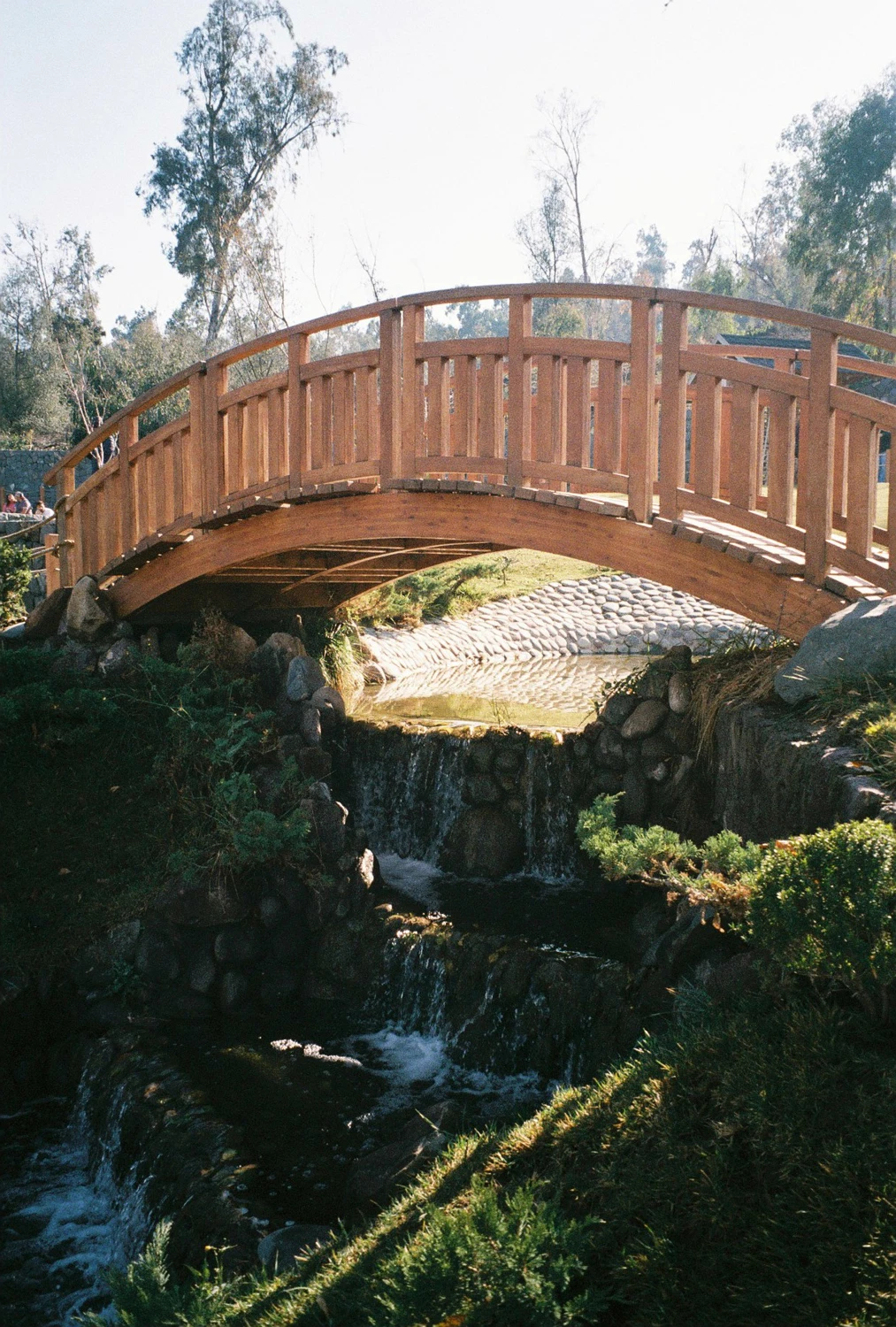 Film photo shot on Fujifilm Superia X-TRA 400 with a Fujica ST705, by Egon Kramm