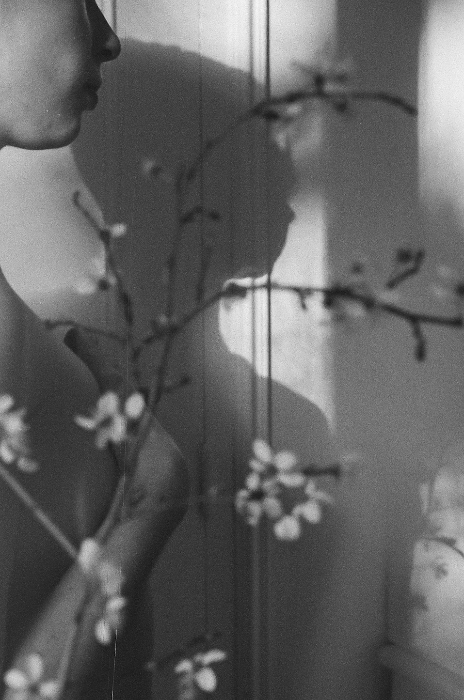 C. shot on Lomography Berlin Kino 400 with a Minolta X-700, by Marmotine