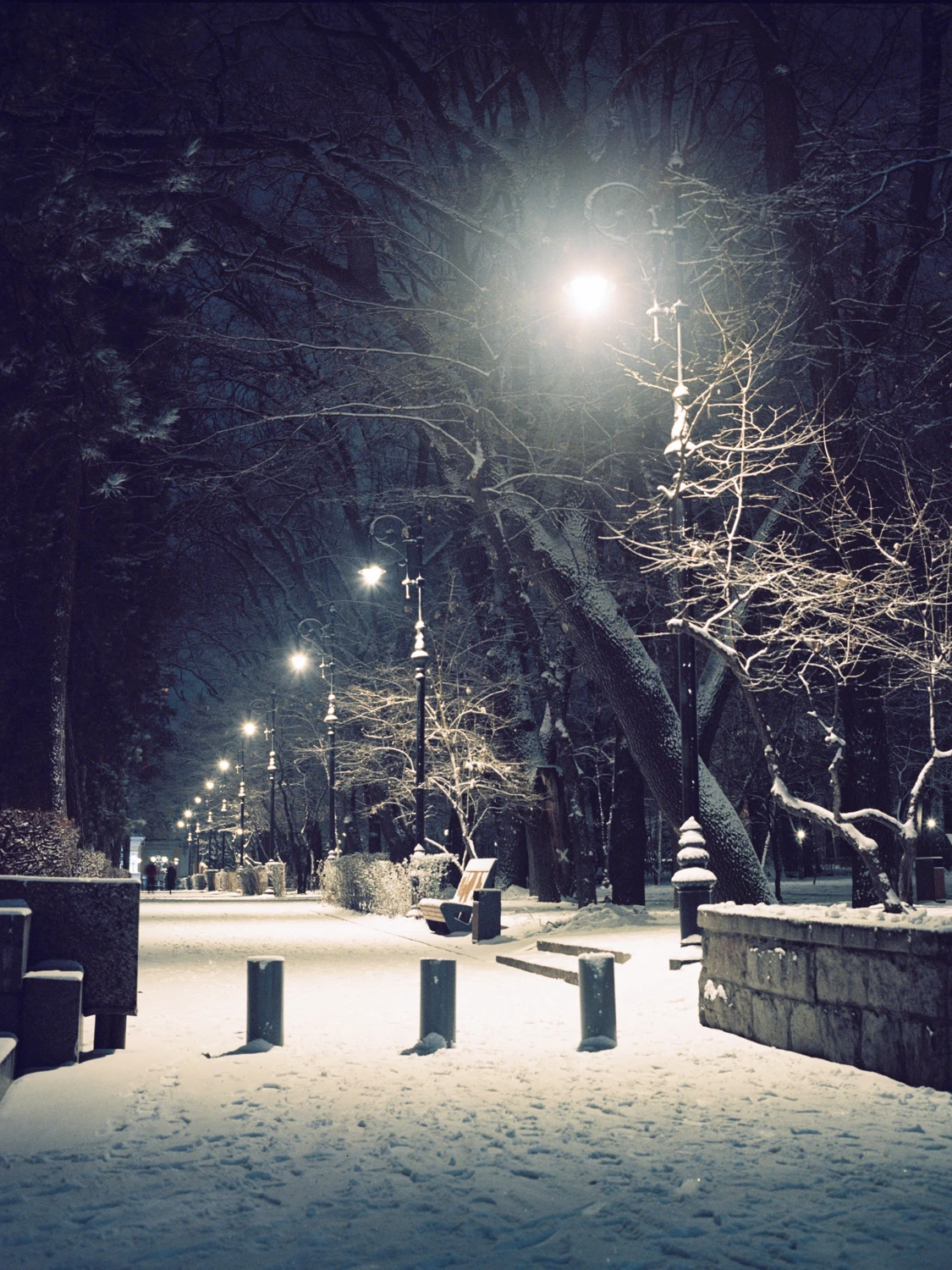 28 shot on Kodak Portra 160 VC with a Zenza Bronica 645, by Nursultan Baimuratov