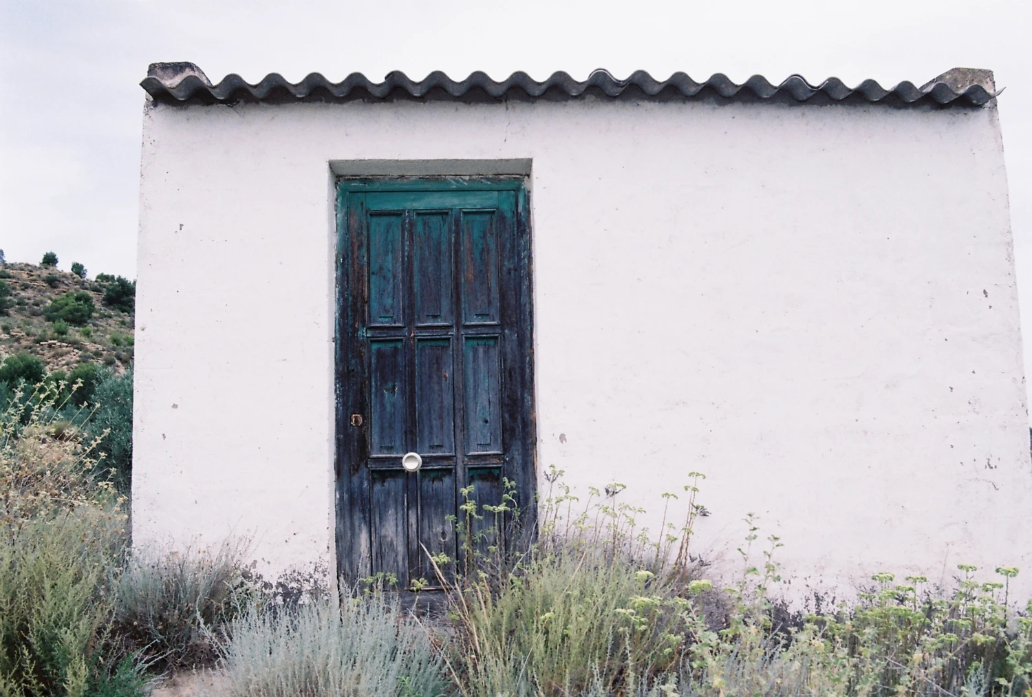 Thousand-colour door shot on Kodak ColorPlus 200 with a Exakta HS-10, by Tipsy