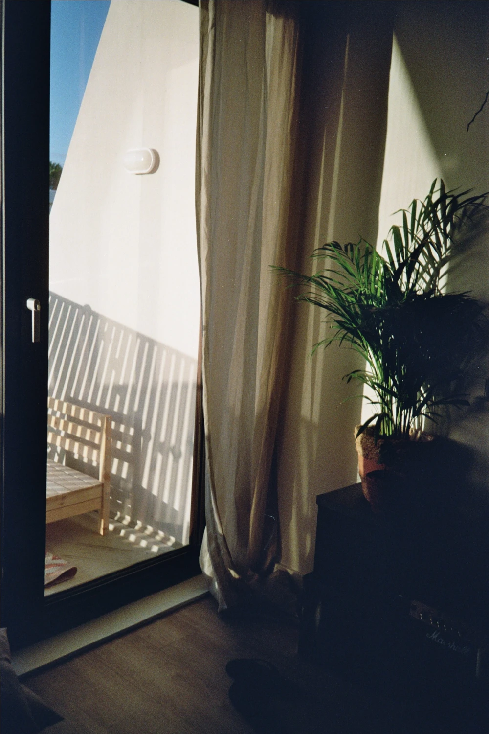 Summertime shot on Kodak ColorPlus 200 with a Olympus AF-10 Mini, by CristianaSto