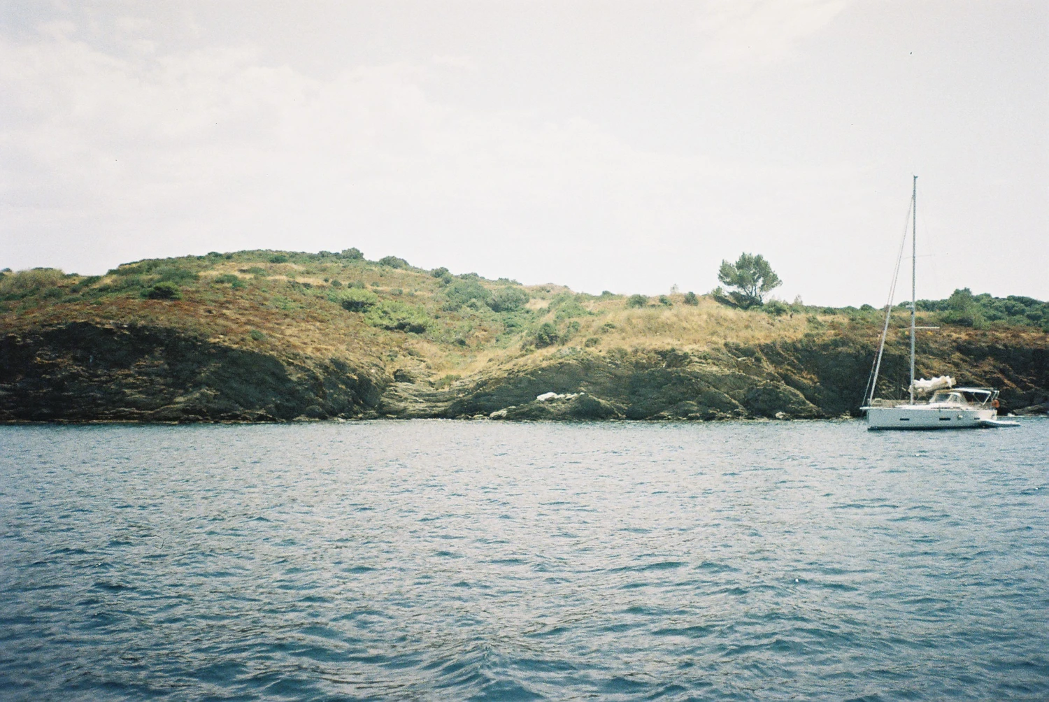 Film photo shot on Kodak ColorPlus 200 with a Olympus Trip 300, by Adrian Durville
