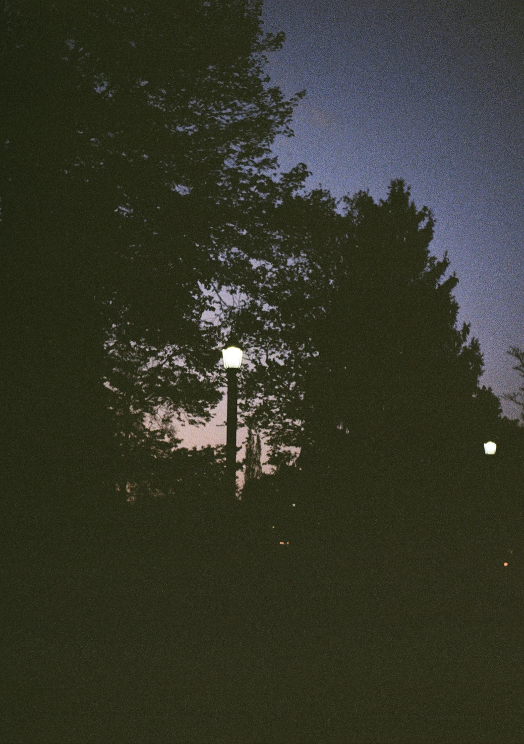 Victoria Park at night shot on Kodak Gold 200 with a Olympus Pen EE, by jess