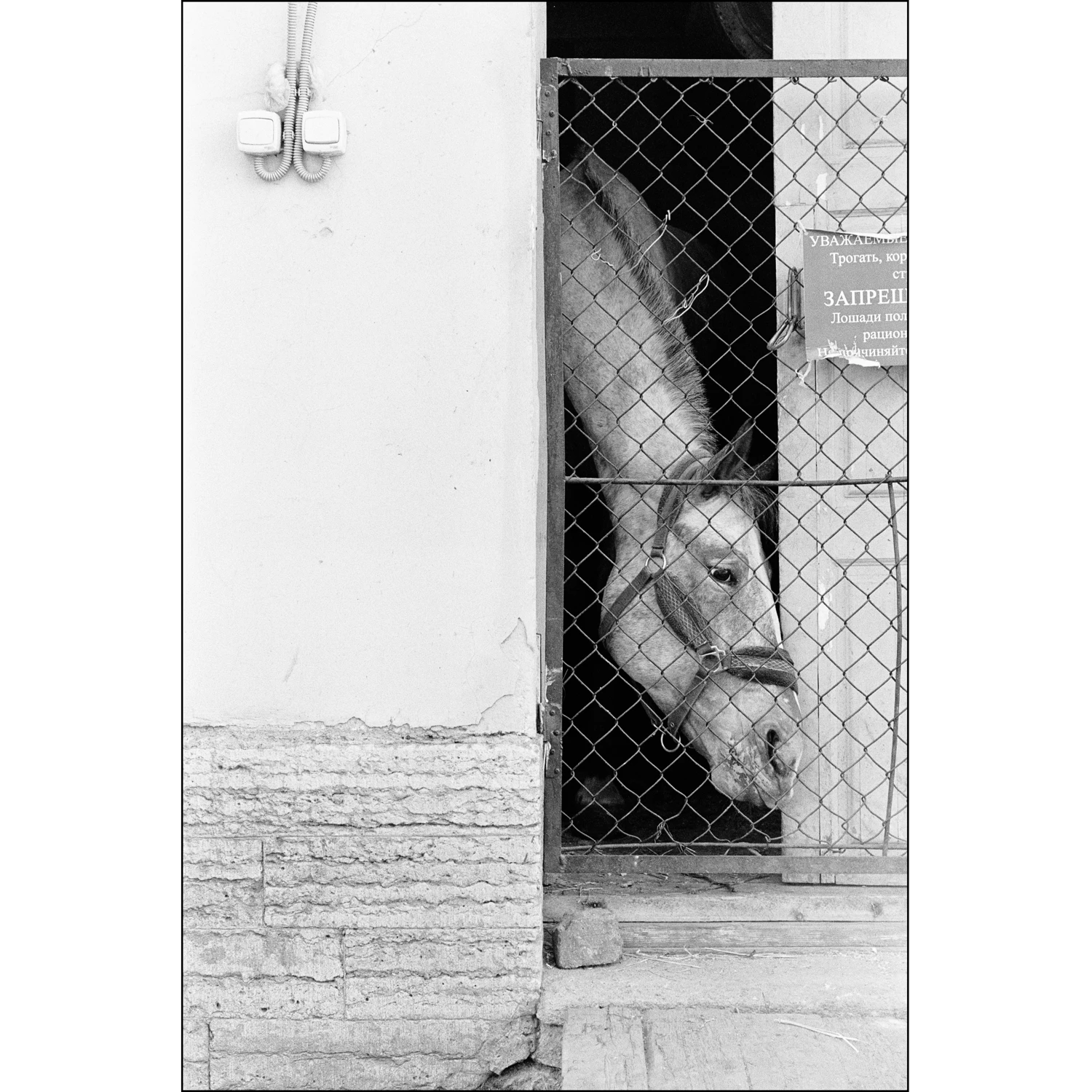 Saint-Petersburg, 2022 shot on Kodak Double-X 5222 with a Canon 7, by strakhov.film