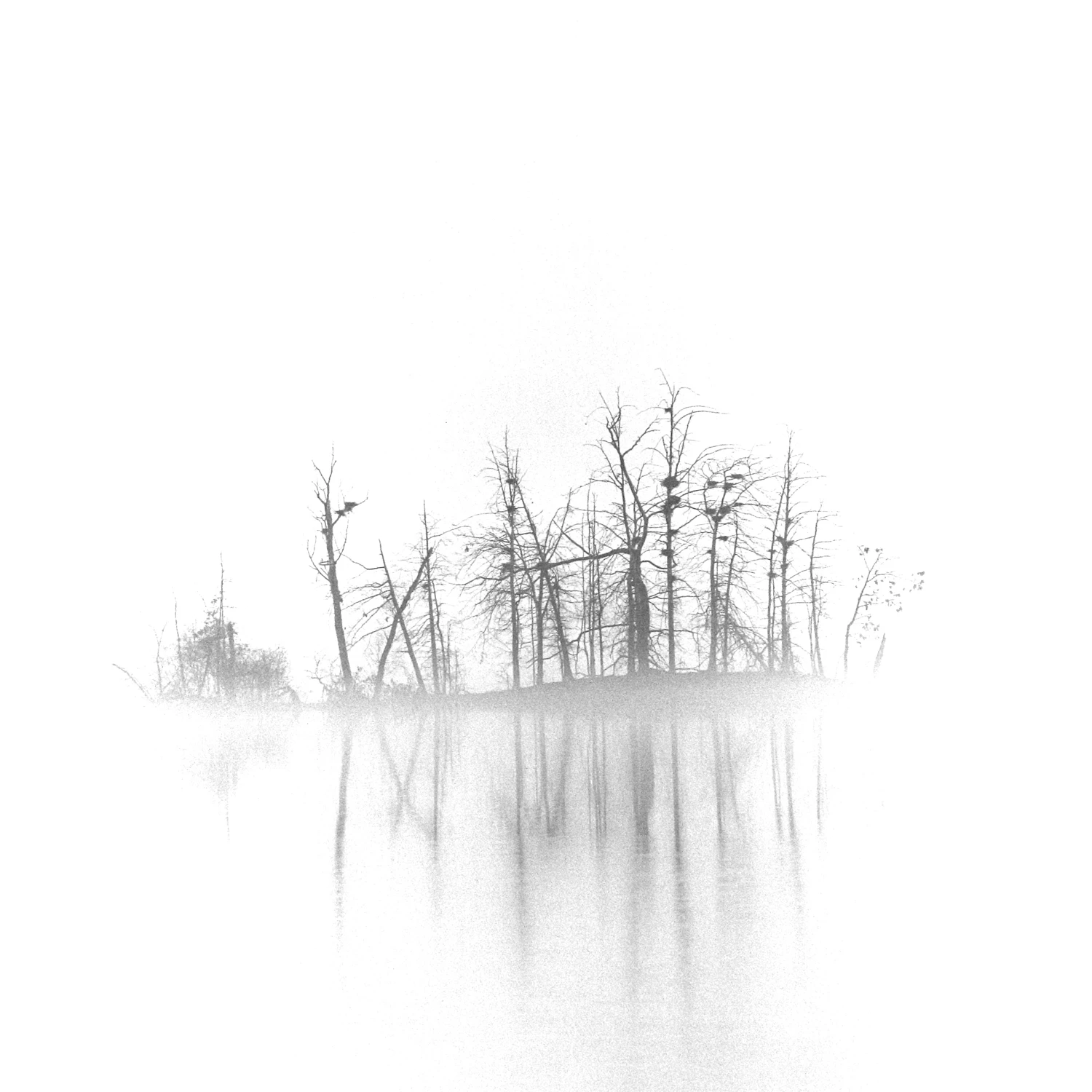 Fogged Island shot on Bergger Pancro 400 with a Zenza Bronica EC-II, by Christopher Stoll
