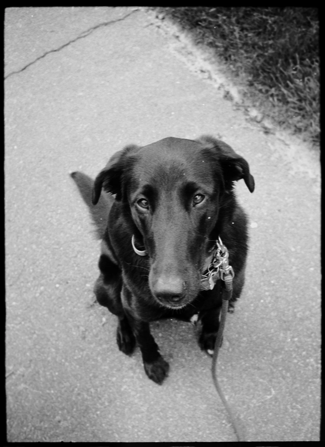 halley on the half frame shot on Ilford HP5 Plus 400 with a Fujica Half, by mollylovesphotography