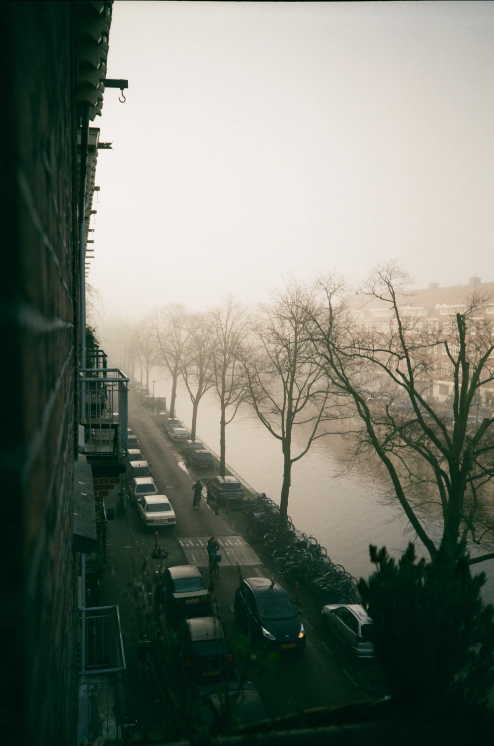 Crisp shot on Kodak Gold 200 with a Olympus AF-10 Mini, by CristianaSto