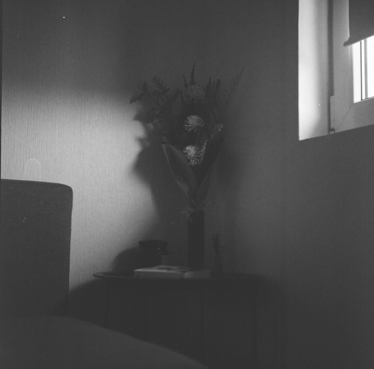 Fleur shot on Foma Fomapan 400 Action with a Yashicaflex, by Luca Mulkens