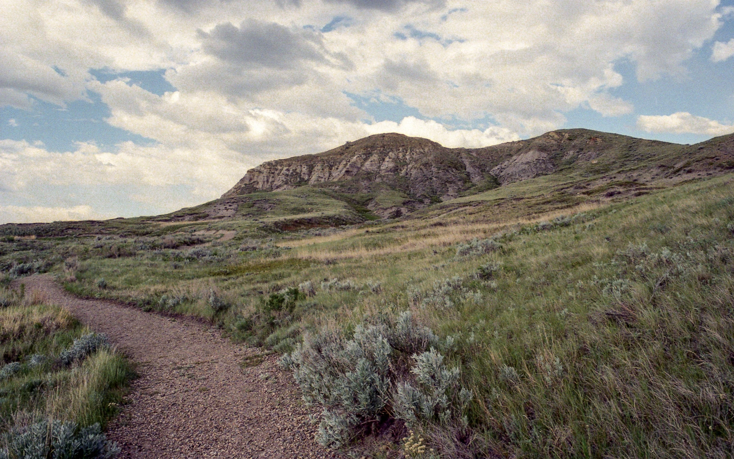 Grasslands National Park shot on Fujifilm Superia X-TRA 400 with a Mamiya NC1000, by MikeSquier