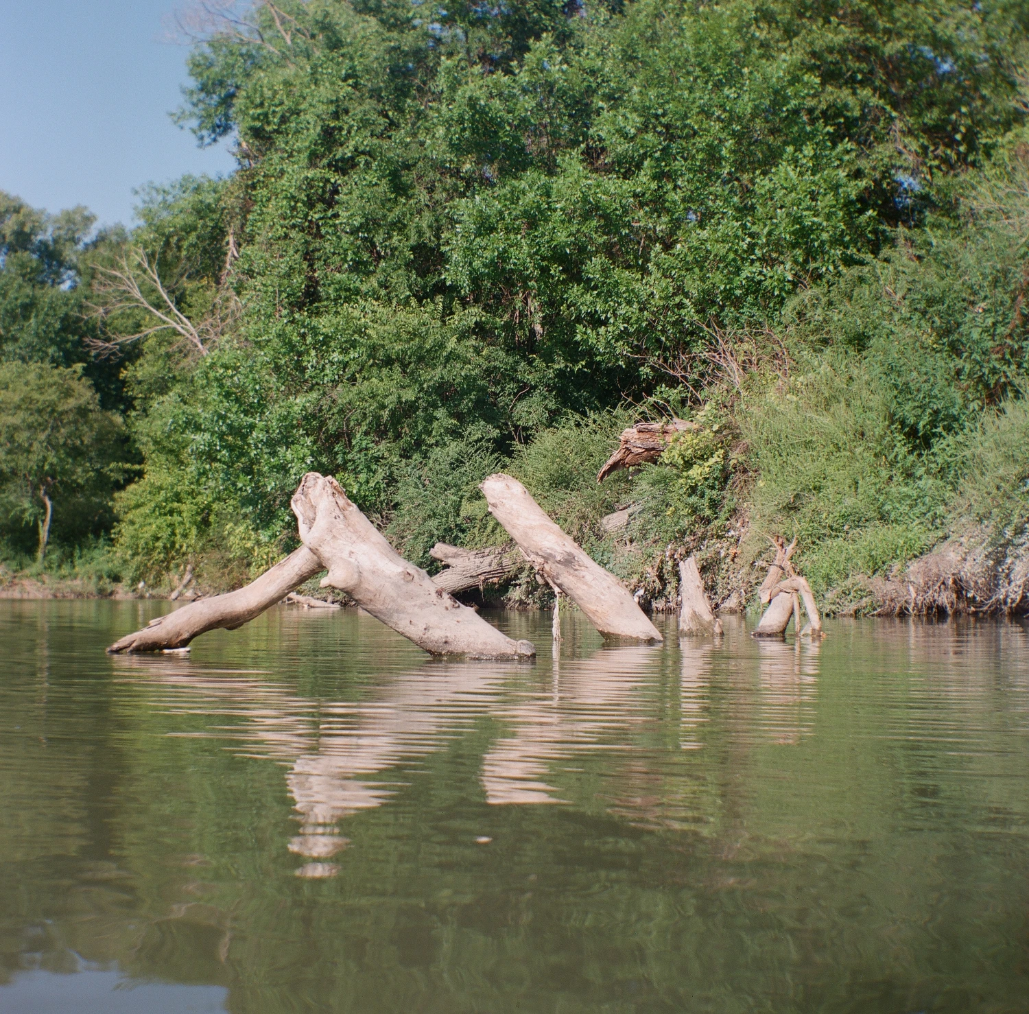 Paddling White Rock Creek 3 shot on Fujifilm Pro 400H with a Kodak Brownie Hawkeye Flash, by Colby Howe