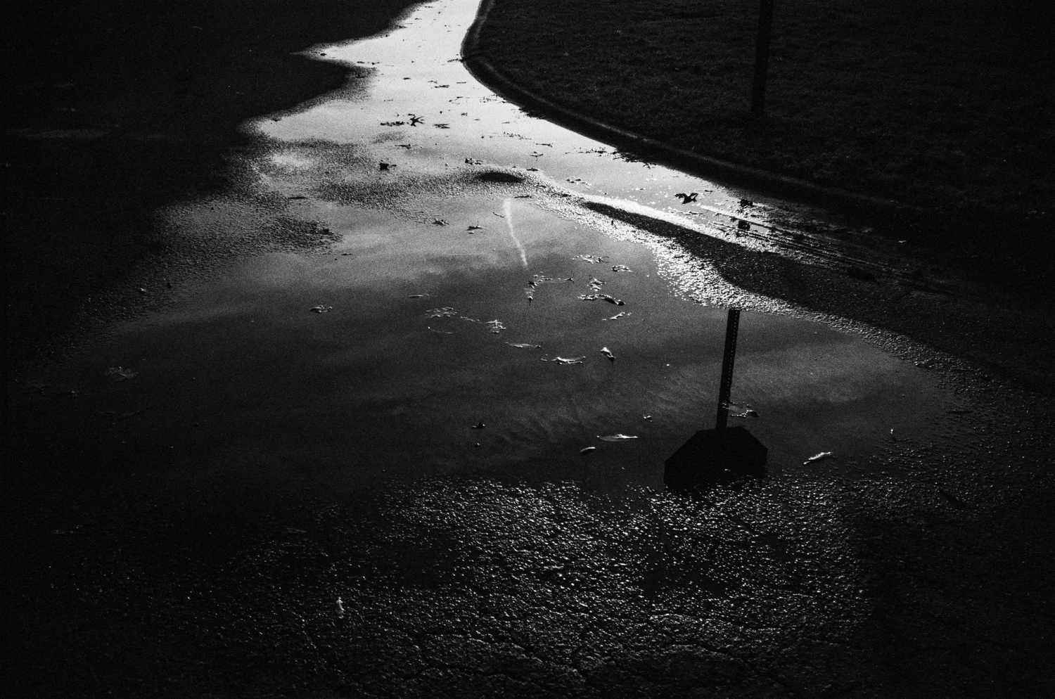 Film photo shot on Ilford HP5 Plus 400 with a Yashica T2, by menwuur
